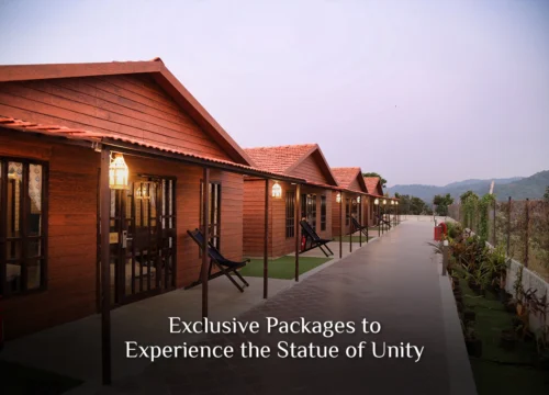 Discover the Best: Exclusive Packages to Experience the Statue of Unity