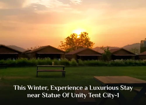 This Winter, Experience a Luxurious Stay near Statue Of Unity Tent City-1