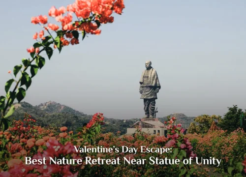 Valentine’s Day Escape: Best Nature Retreat Near Statue of Unity