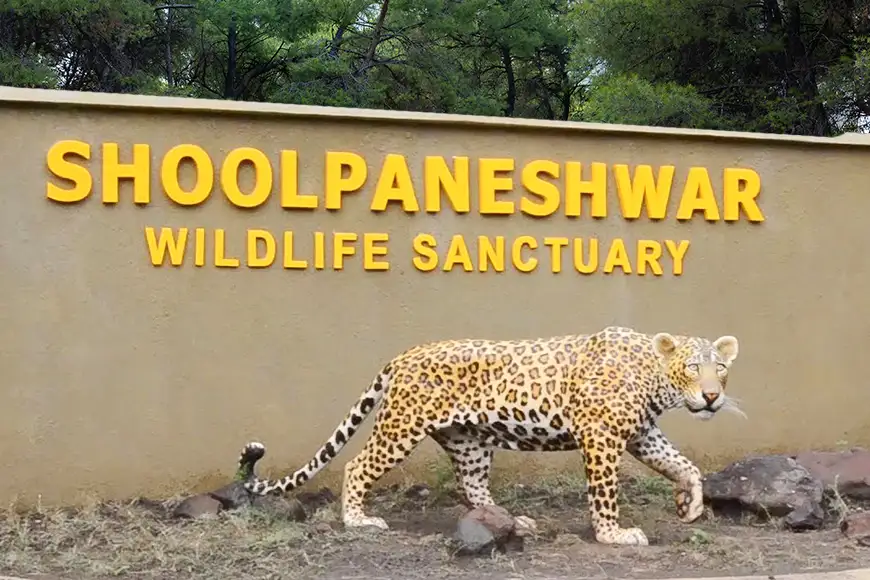 Shoolpaneshwar Wildlife Sanctuary - best place the Statue of Unity