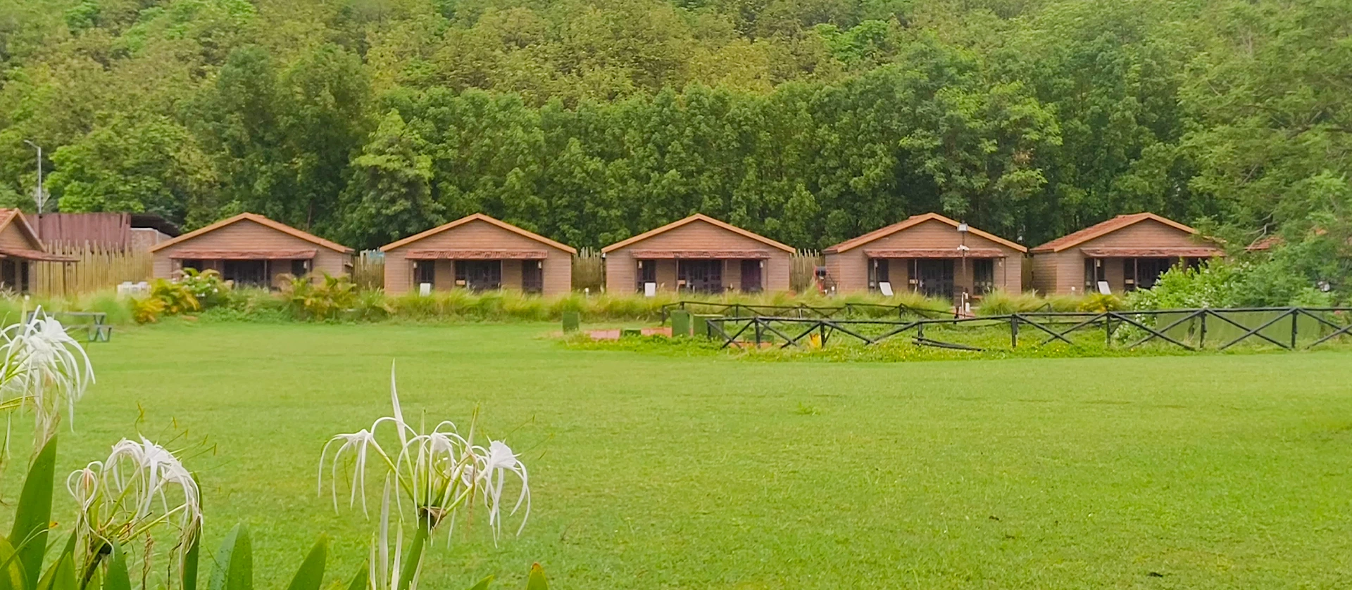 View of Statue of Unity and surroundings for Statue of Unity Tent City