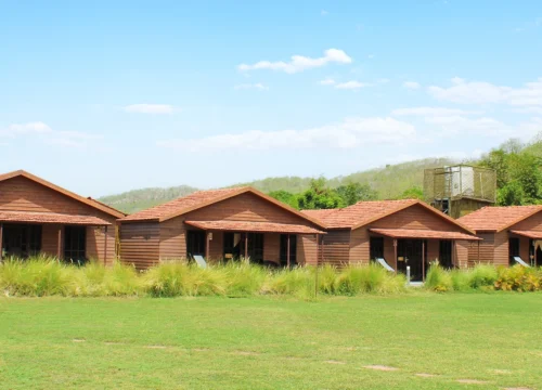 Statue of Unity Tent City vs. Traditional Hotels: Which is Better?