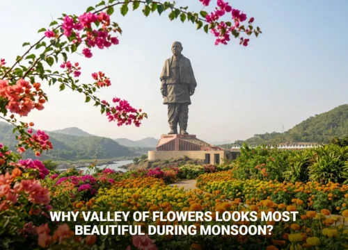 Why Valley of Flowers Looks Most Beautiful During Monsoon Near Statue of Unity